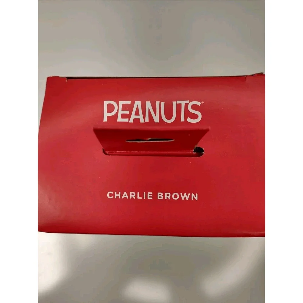 Peanuts Charlie Brown  With Tree Branch Ornament New‎ In Box